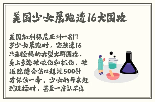 无限视频免费看片